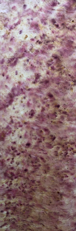 pugnastudio_HOMESTORY_bundle3 Pugnastudio