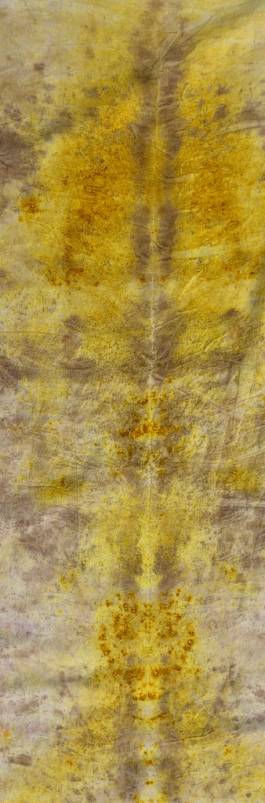 pugnastudio_HOMESTORY_bundle4 Pugnastudio