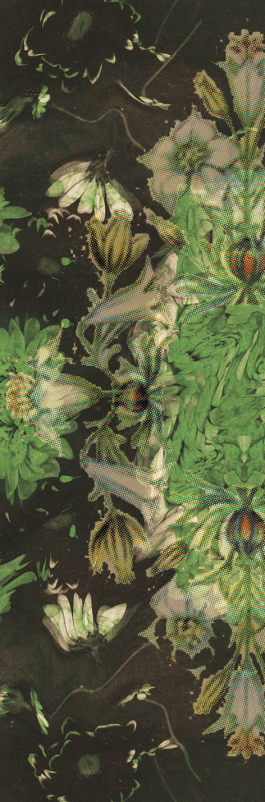 pugnastudio_HEIMATS_printdesign Pugnastudio