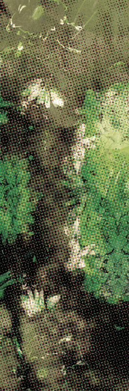 pugnastudio_HEIMATS_printdesign Pugnastudio