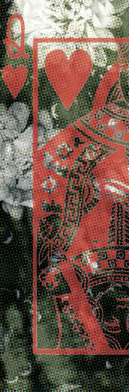 pugnastudio_HEIMATS_printdesign Pugnastudio