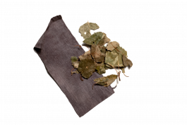 pugnastudio_HEIMATS_birch Pugnastudio